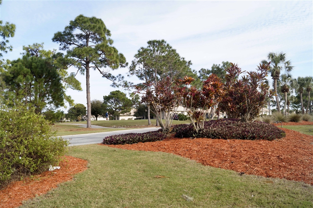 Market Snapshot Oyster Creek Golf & CC, Englewood Photo Galleries